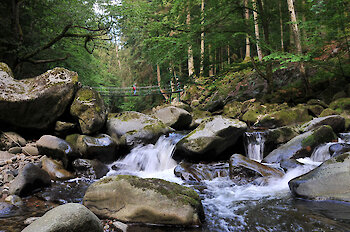 Familienwanderung an der Buchberger Leite im Bayerischen Wald Wanderurlaub im Bayerischen Wald